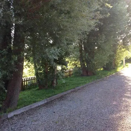 Jan Comfortable * Nordstrand